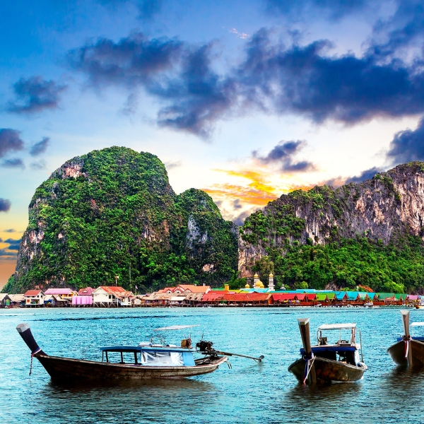 circuit amplitudes x thebabooshka des fleurs aux racines